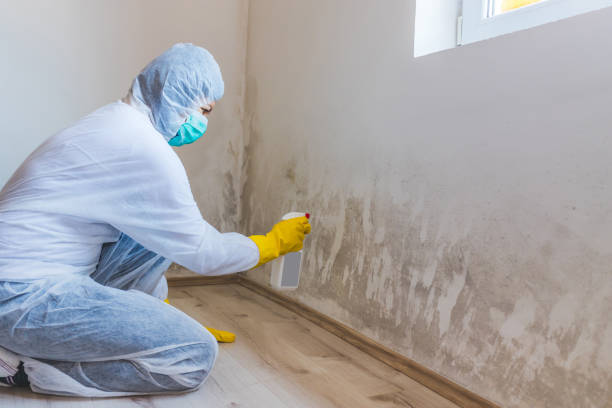 Licensed Crawl Space Mold Removal service in Somerset, NJ - WQB Mold Removal