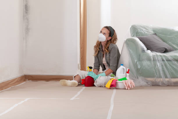 Reliable Crawl Space Mold Removal contractor in Somerset, NJ by WQB Mold Removal