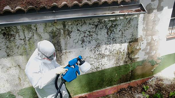 Top rated local Crawl Space Mold Removal specialists in Somerset, NJ